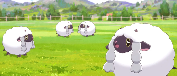 pokemon mouton Moumouton